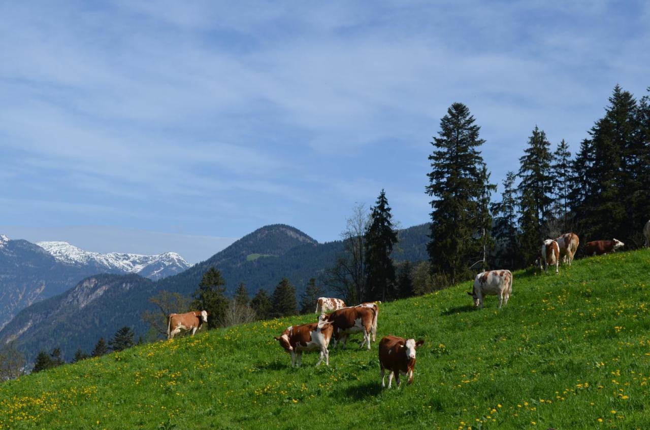Apart Timeout Hart im Zillertal Luaran gambar