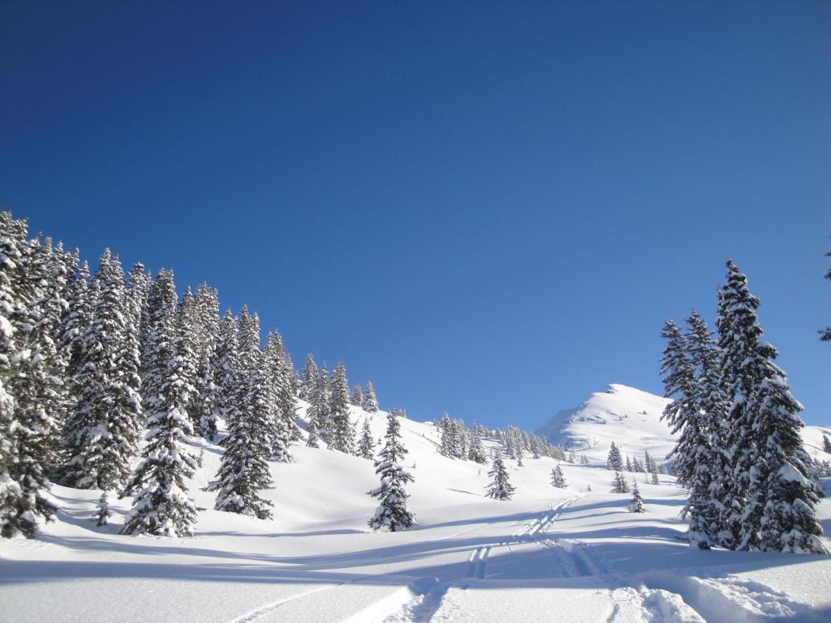 Apart Timeout Hart im Zillertal Luaran gambar